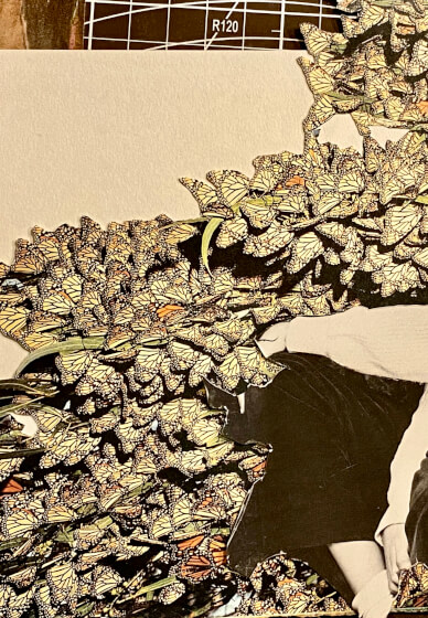 Holiday Collage Workshop at Montsalvat (ages 8-100 Years)