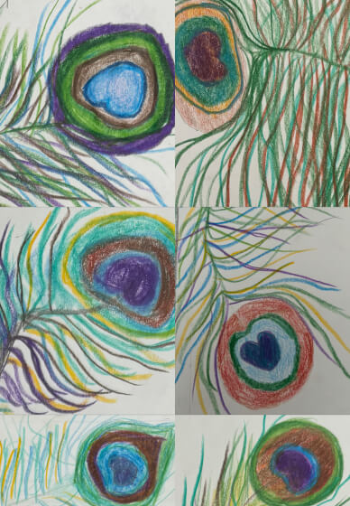 Homeschooling Art Term Course