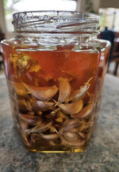 Honey and Beyond Herbal Workshop