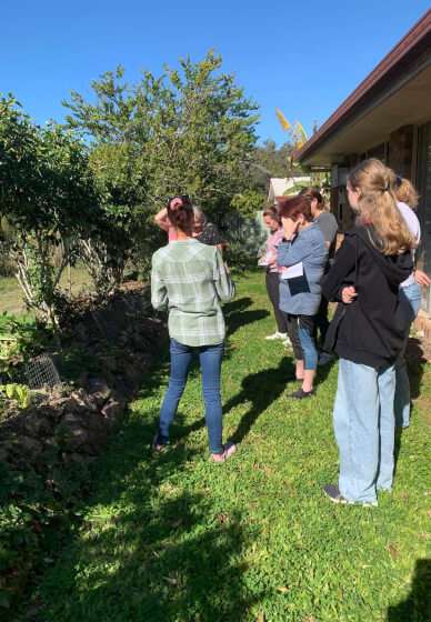 Honey and Beyond Herbal Workshop