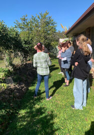 Honey and Beyond Herbal Workshop