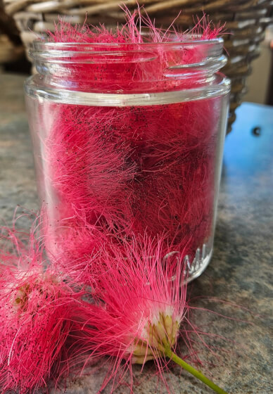 Honey and Beyond Herbal Workshop