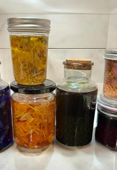 Honey and Beyond Herbal Workshop