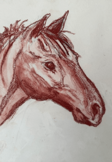 Horse Portrait Painting Class