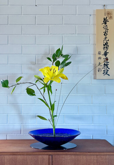 Ikenobo Ikebana Flower Arranging Class