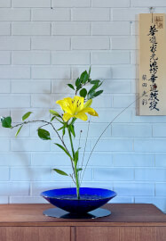 Ikenobo Ikebana Flower Arranging Class