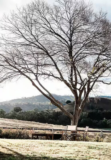 Illuminating Intentions: 3 Day Manifestation Candle Retreat