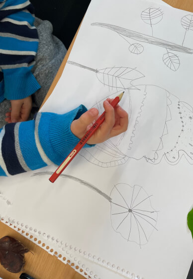 Illustration and Marine Discovery Workshop