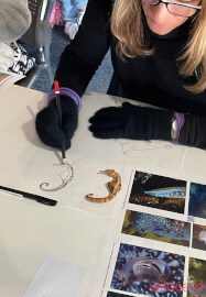 Illustration and Marine Discovery Workshop