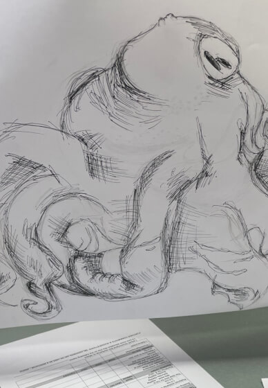 Illustration and Marine Discovery Workshop