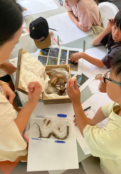 Illustration and Marine Discovery Workshop