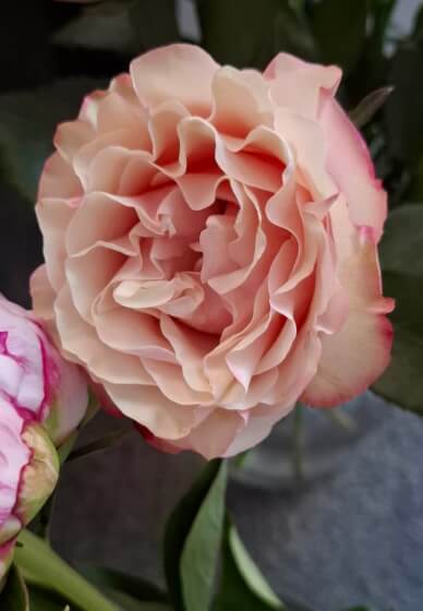 In Loving Memory Floral Workshop