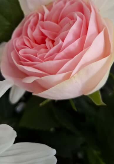 In Loving Memory Floral Workshop