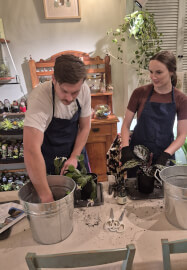 Indoor Plant Care for Beginners