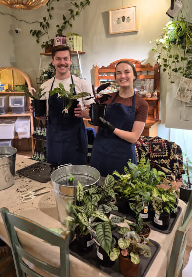 Indoor Plant Care for Beginners