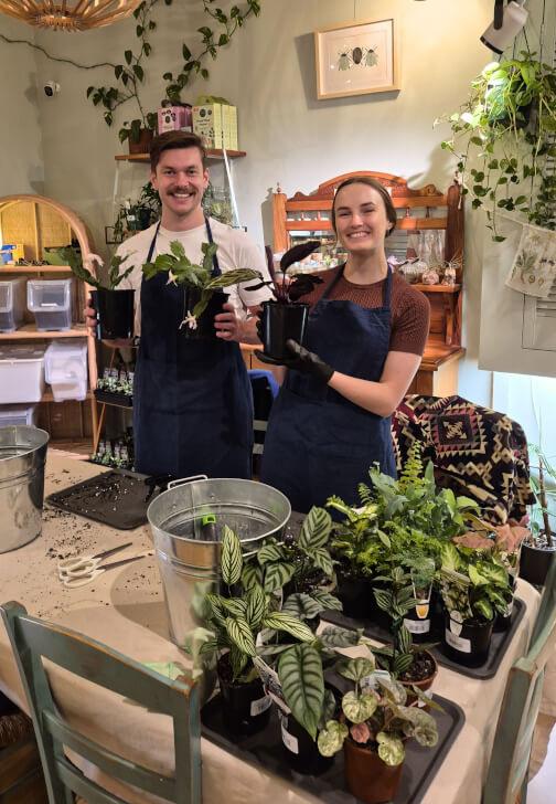 Indoor Plant Care for Beginners