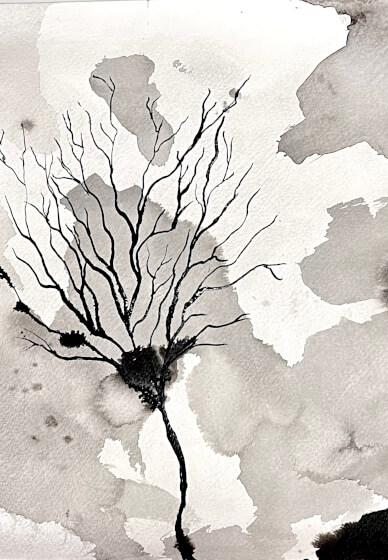Ink Drawing Workshop