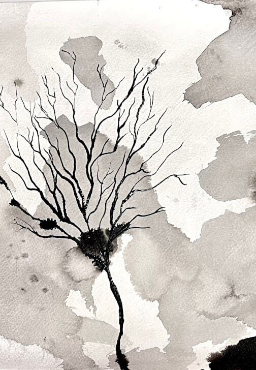 Ink Drawing Workshop