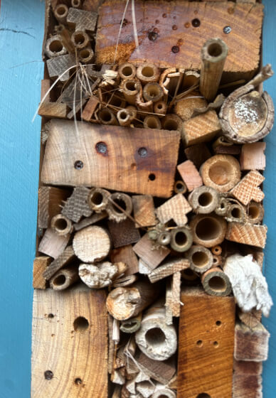 Insect Hotel Building Workshop