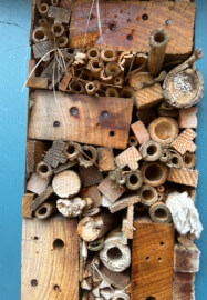 Insect Hotel Building Workshop