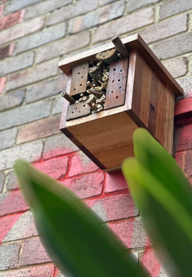 Insect Hotel Building Workshop