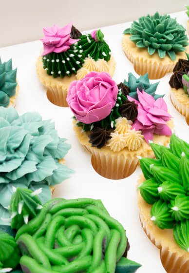 Intermediate Buttercream Class: Prickle My Fancy