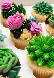 Intermediate Buttercream Class: Prickle My Fancy