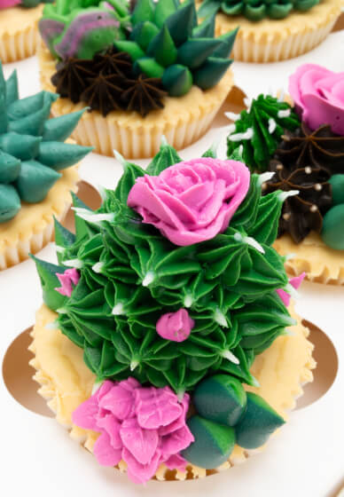 Intermediate Buttercream Class: Prickle My Fancy