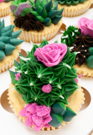 Intermediate Buttercream Class: Prickle My Fancy
