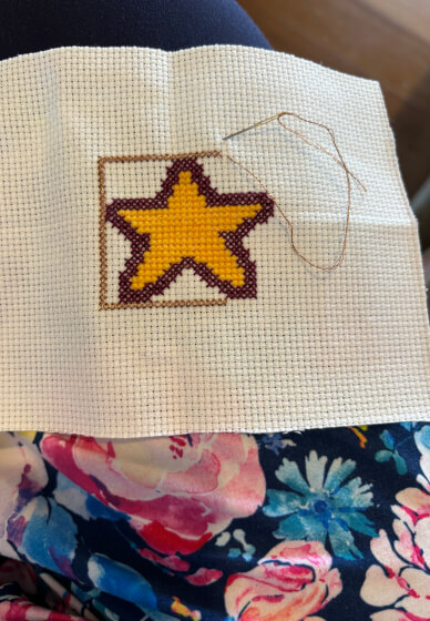 Intermediate Cross Stitch Workshop - Christmas Ornaments