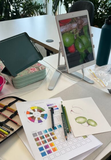 Introduction to Coloured Pencils Course