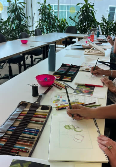 Introduction to Coloured Pencils Course