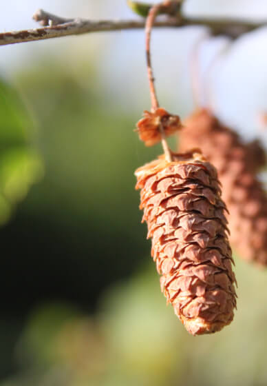 Introduction to DSLR Photography Short Course