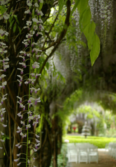 Introduction to DSLR Photography Short Course