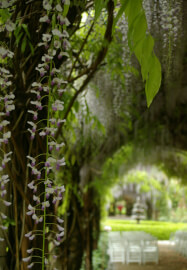 Introduction to DSLR Photography Short Course