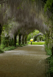 Introduction to DSLR Photography Short Course