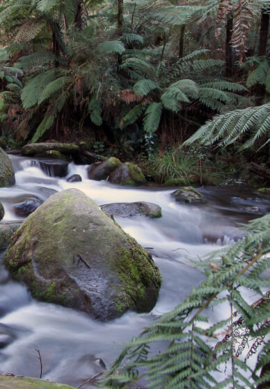 Introduction to DSLR Photography Short Course