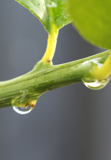 Introduction to DSLR Photography Short Course