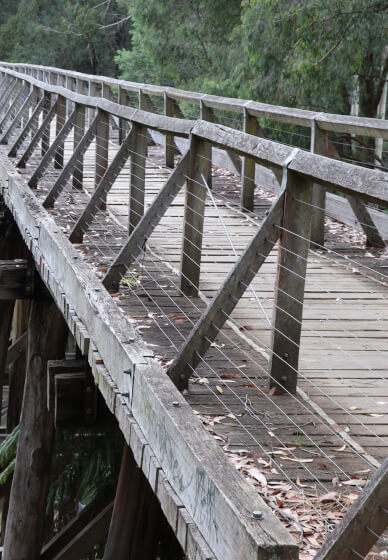 Introduction to DSLR Photography Short Course