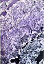 Introduction to Felting Workshop