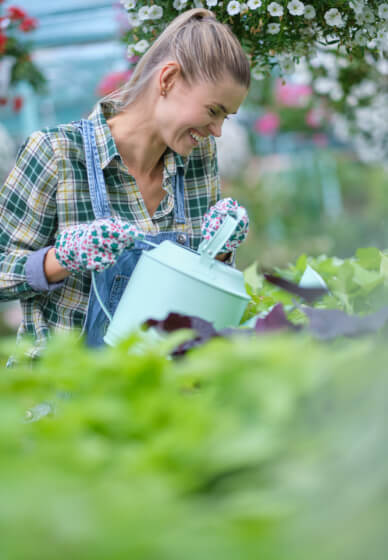 Introduction to Gardening for Beginners