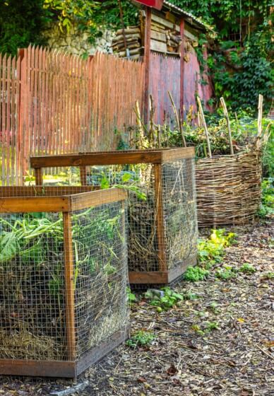 Introduction to Gardening for Beginners