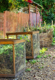 Introduction to Gardening for Beginners