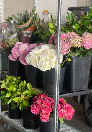 Introduction to Sustainable Floristry Workshop