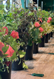 Introduction to Sustainable Floristry Workshop