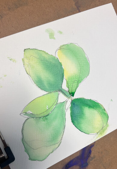 Introduction to Watercolour Painting Workshop for Beginners
