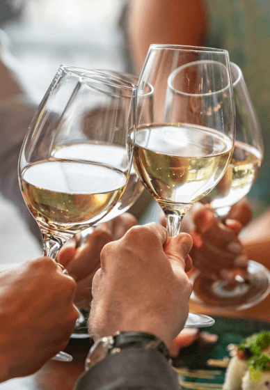 Italian Wine Tasting Experience