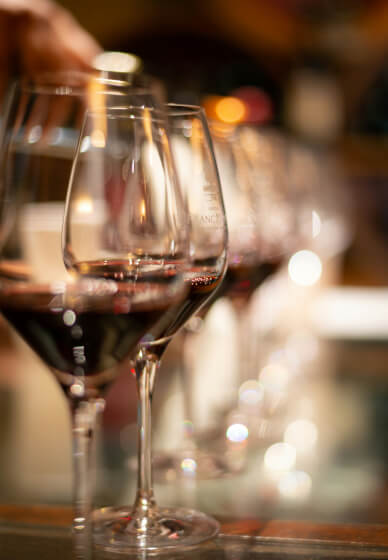 Italian Wine Tasting Experience