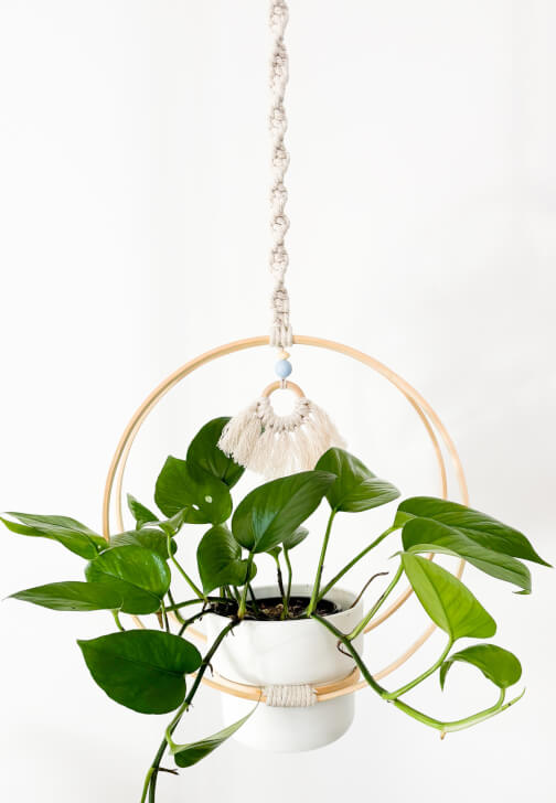 Ivy Plant Hanger Craft Kit