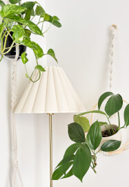 Ivy Plant Hanger Craft Kit